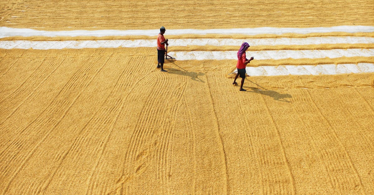 ICAR: Indian Agriculture