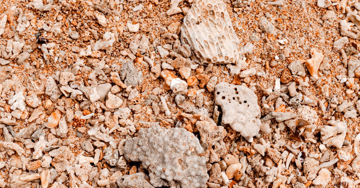 Cluster Munitions Ban