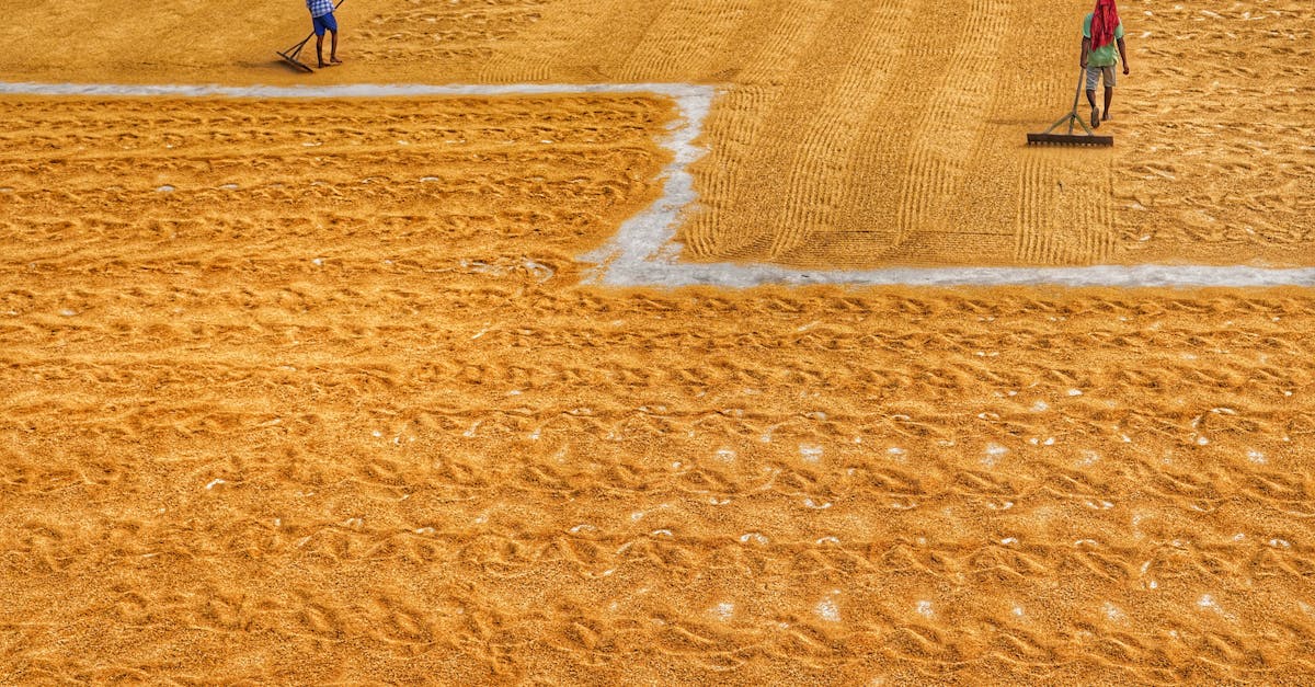 India-US Farm Trade