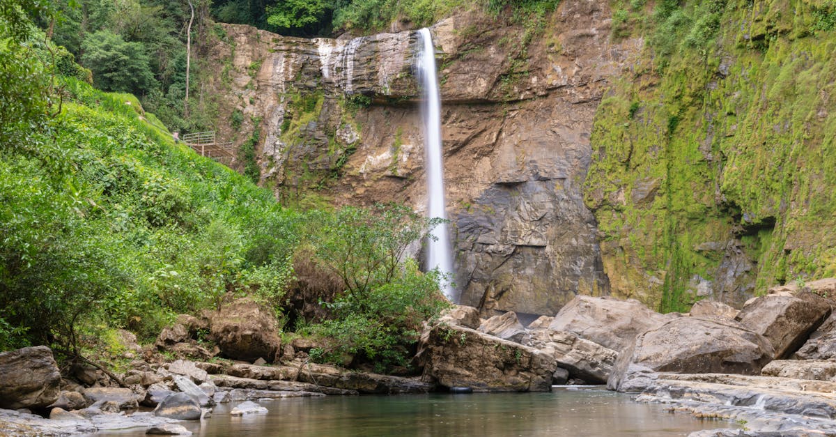 Namdapha: A Sanctuary