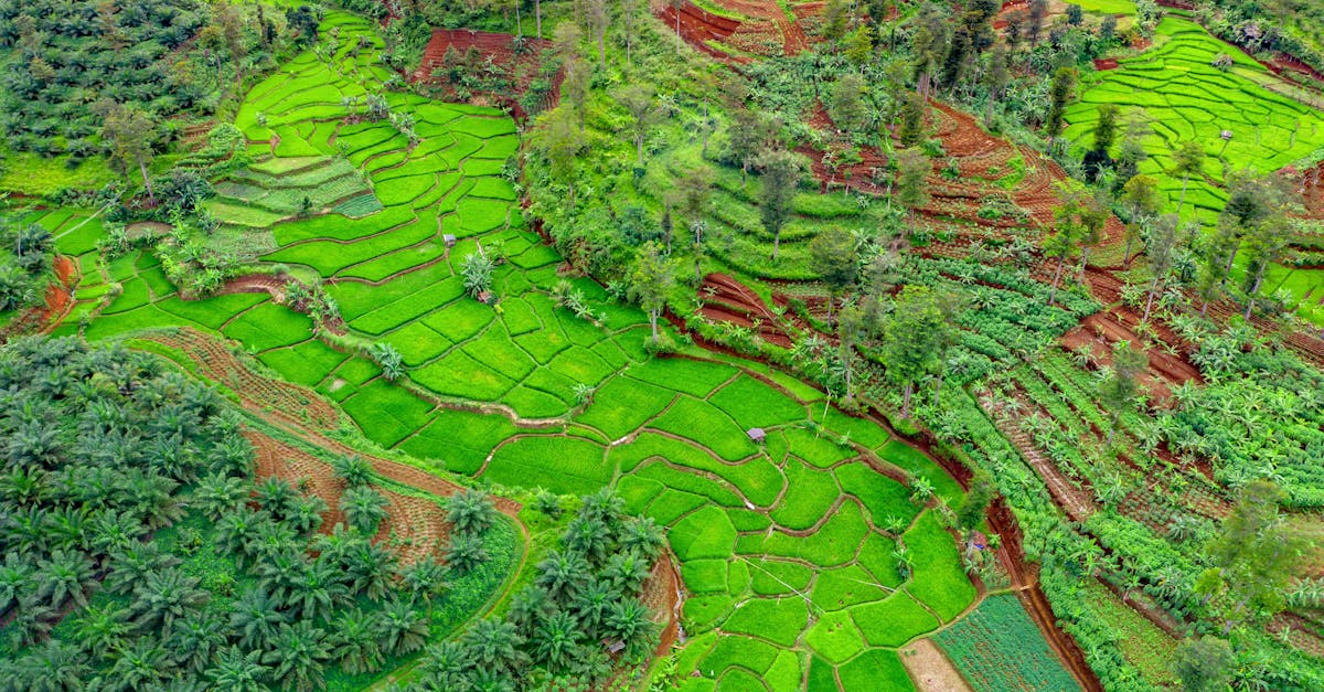 Agri-Diversity Boost
