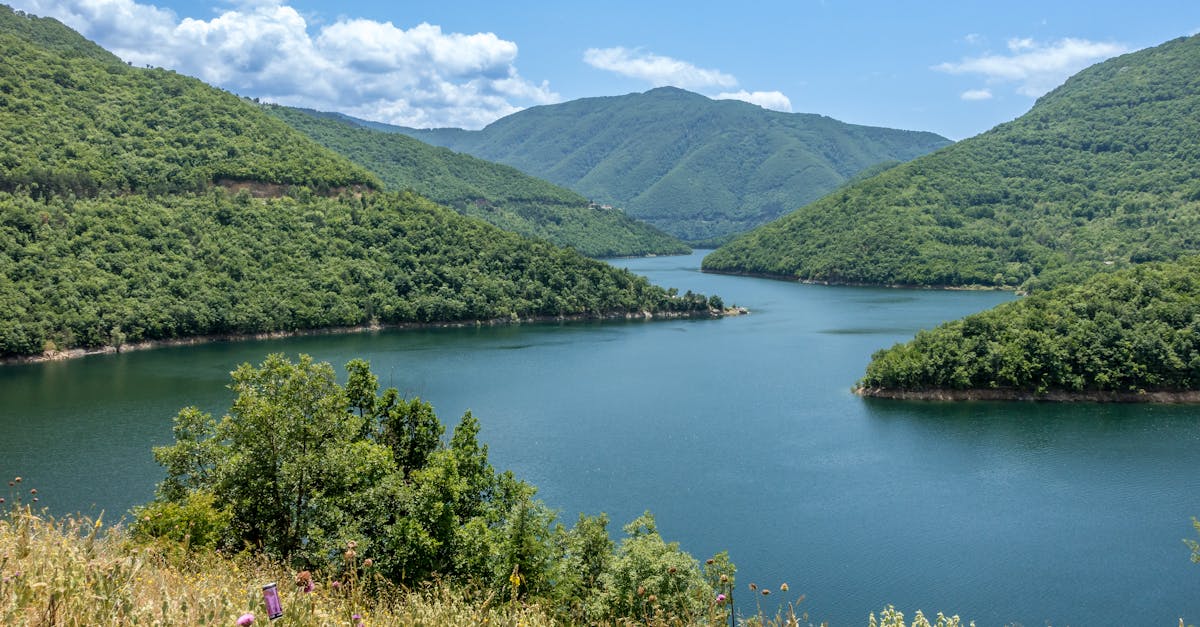 Etalin Hydro Project