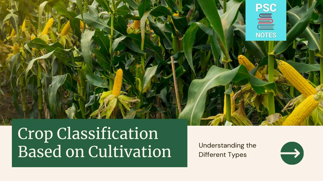 Classification of Crops Based on Cultivation